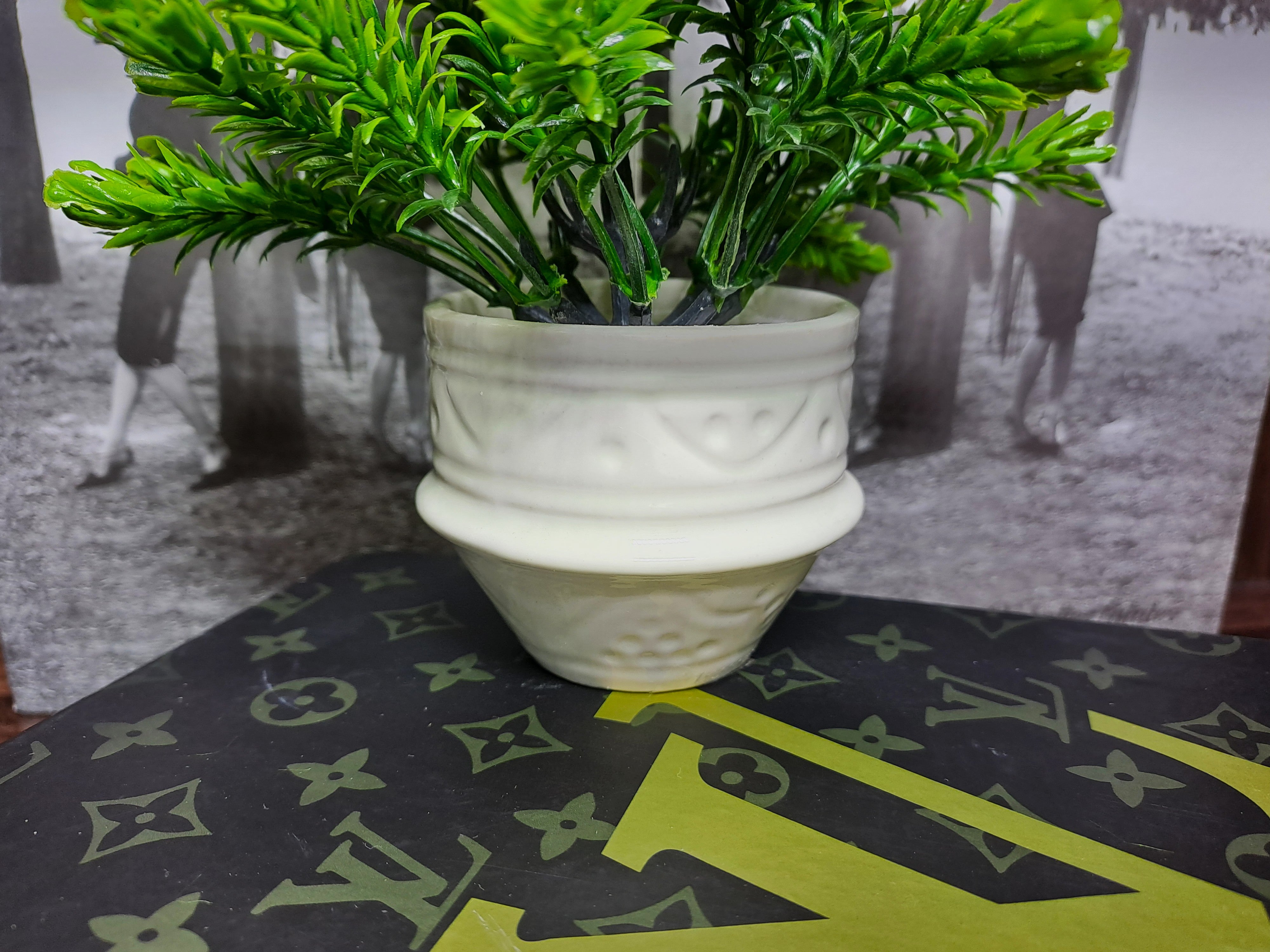 White Ceramic Pot with Classic Green Plant
