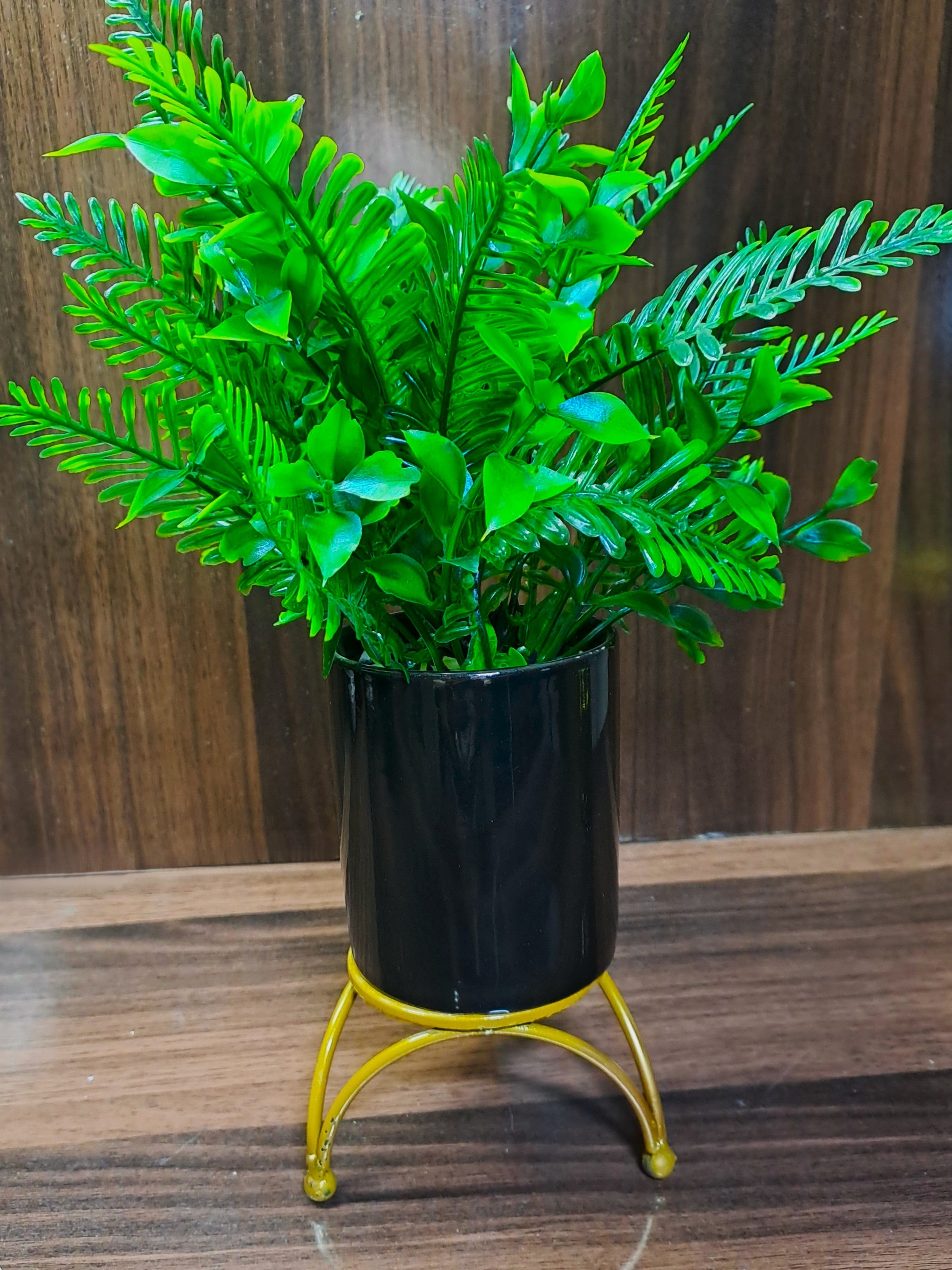 Black Ceramic Pot with Classic Green Plant on Golden Metallic Stand