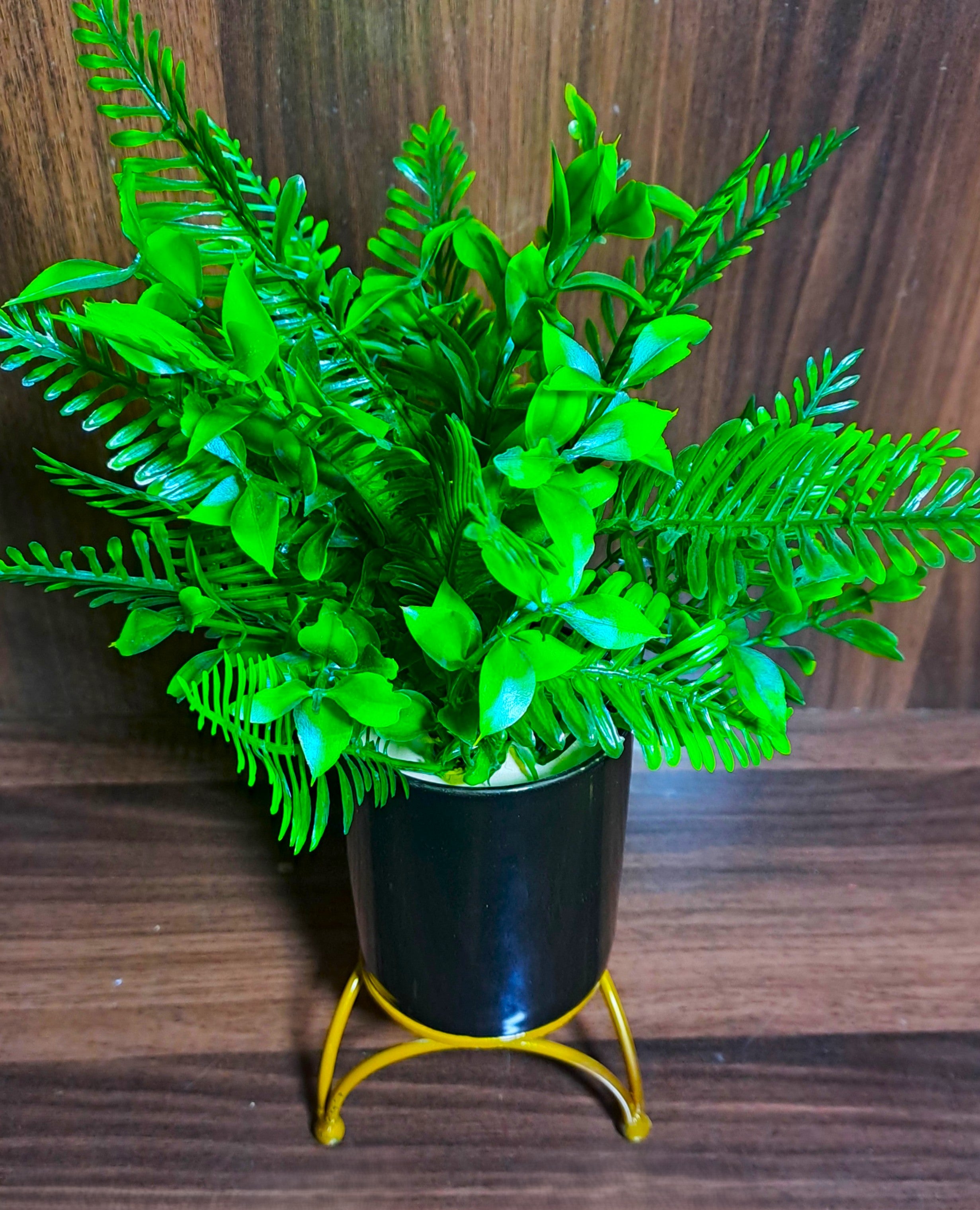 Black Ceramic Pot with Classic Green Plant on Golden Metallic Stand