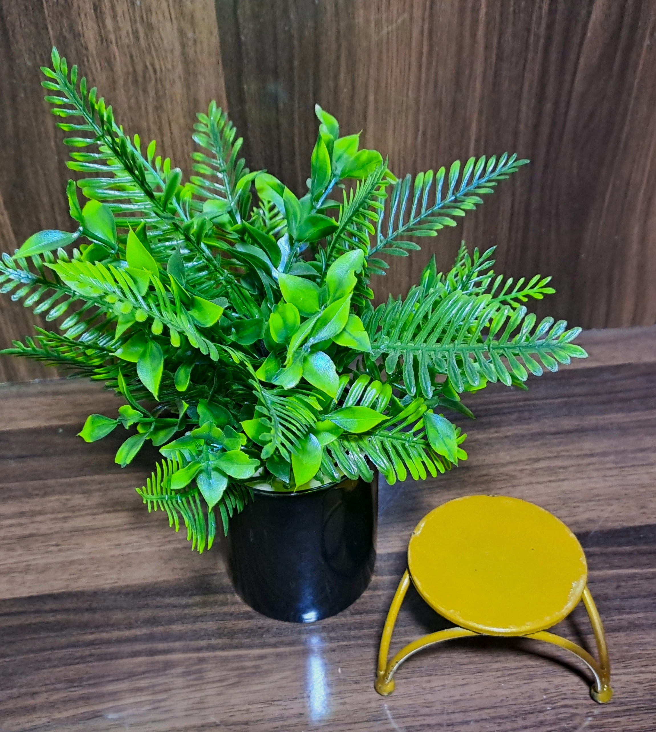 Black Ceramic Pot with Classic Green Plant on Golden Metallic Stand