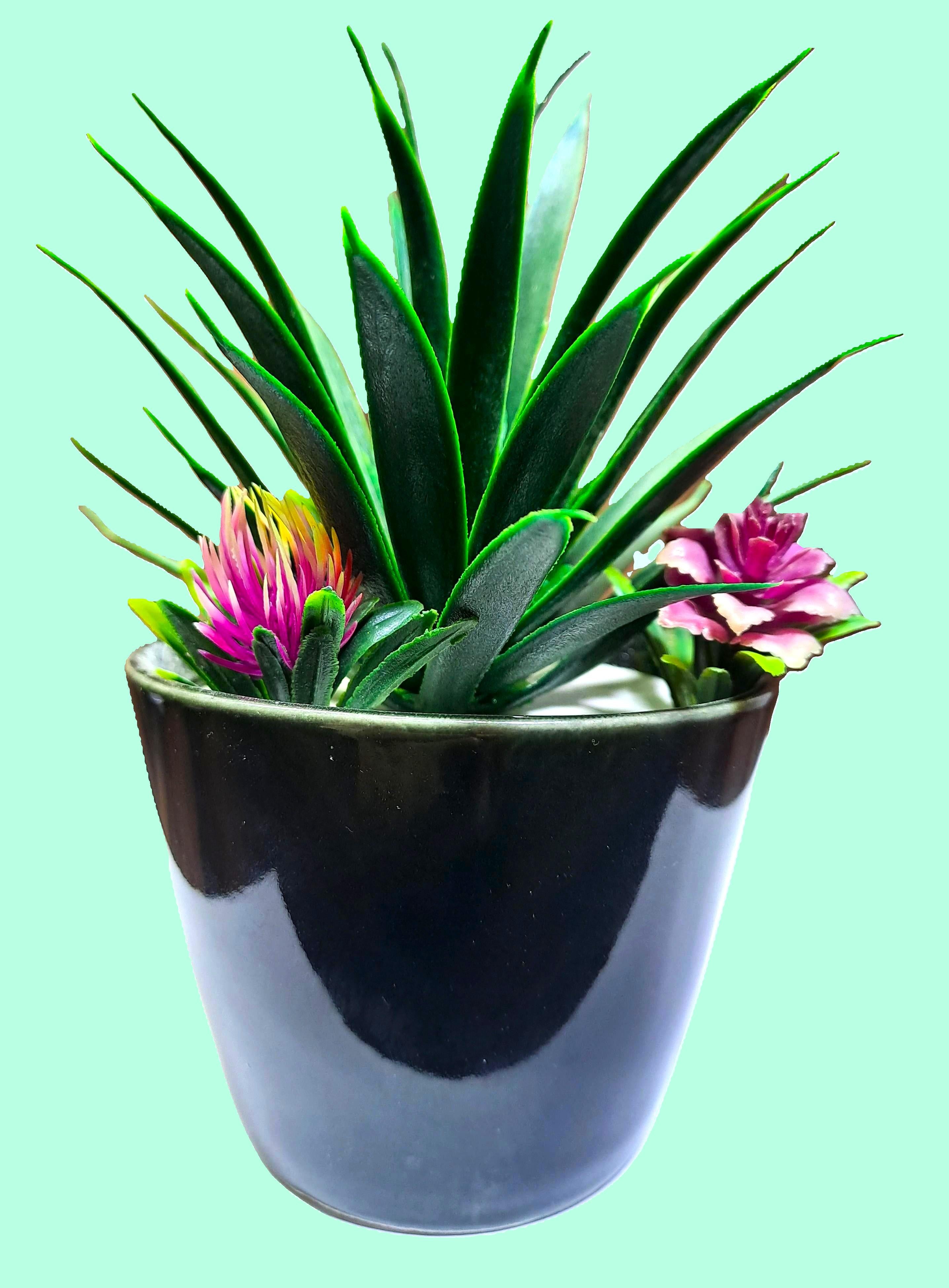 Black Ceramic Pot with Artificial Cactus Plant
