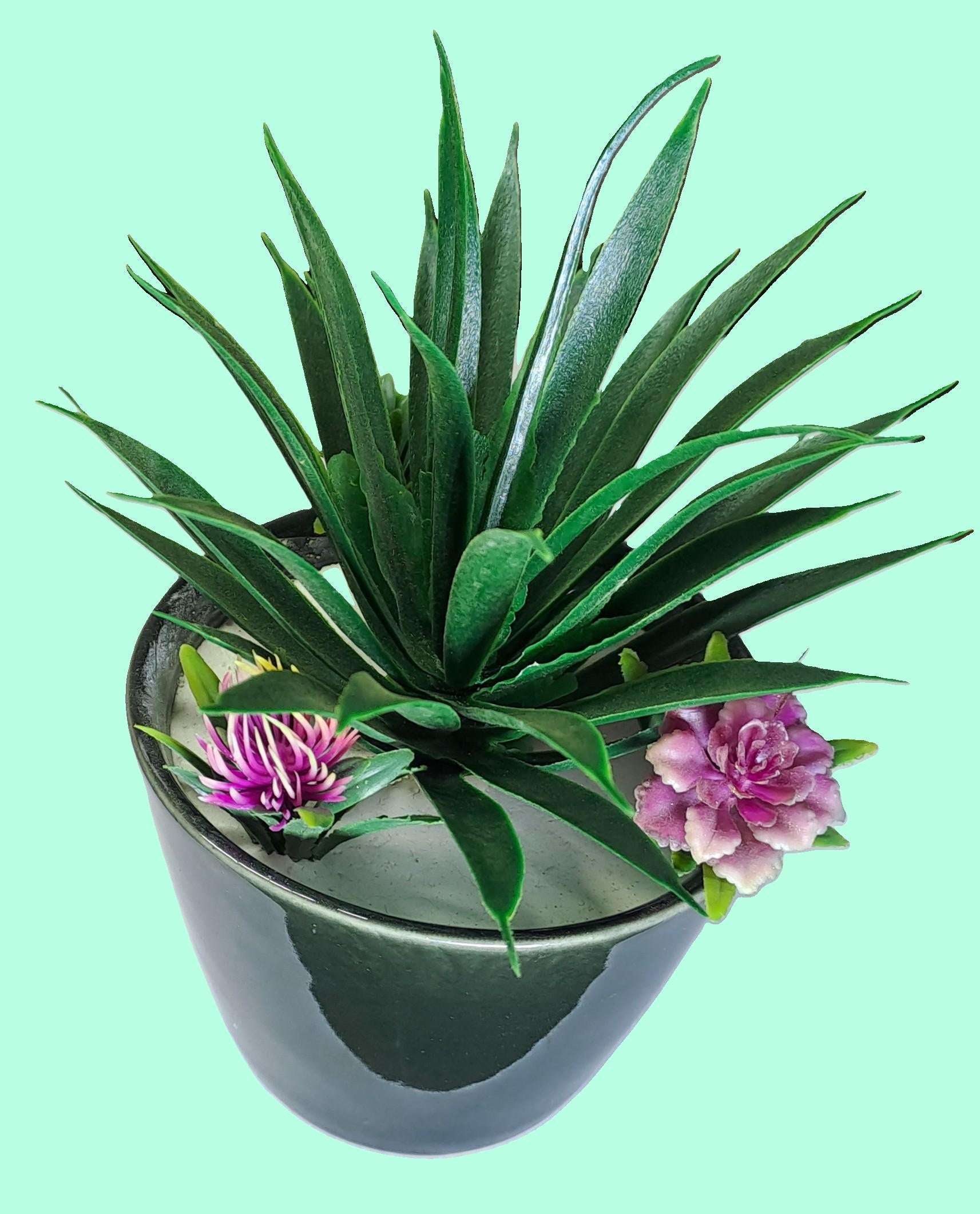 Black Ceramic Pot with Artificial Cactus Plant