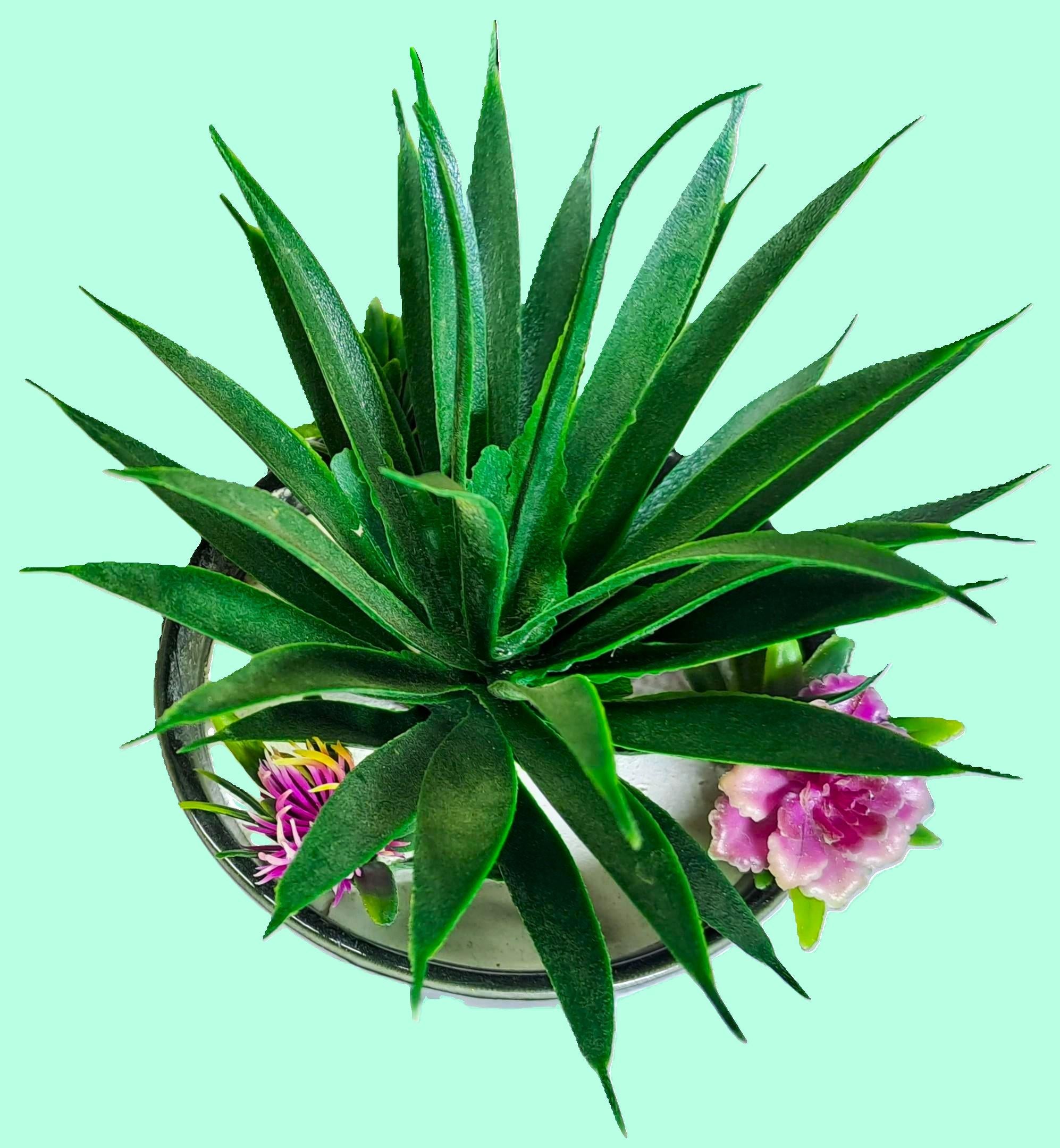 Black Ceramic Pot with Artificial Cactus Plant