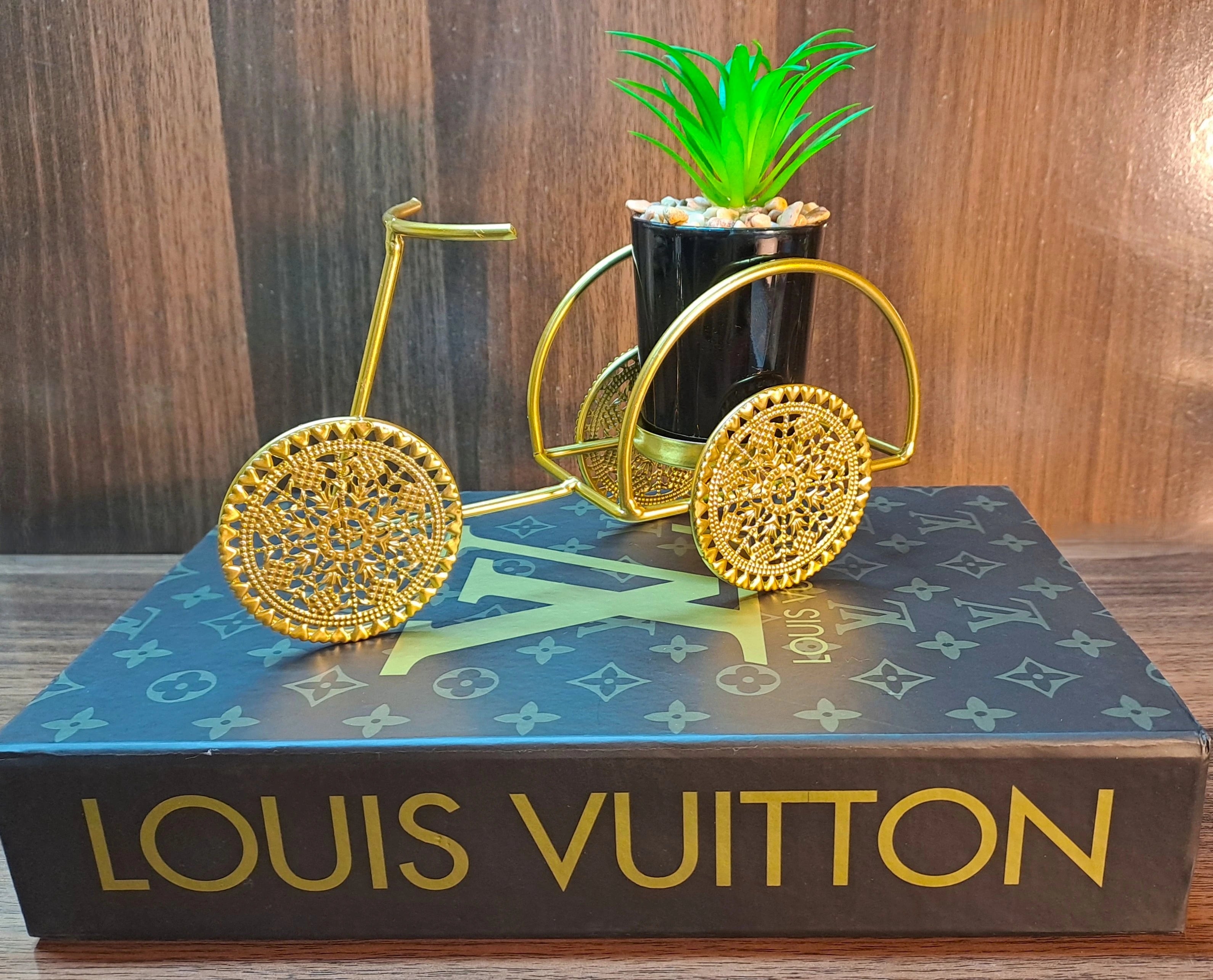 Cactus with Planter over Metallic Tricycle