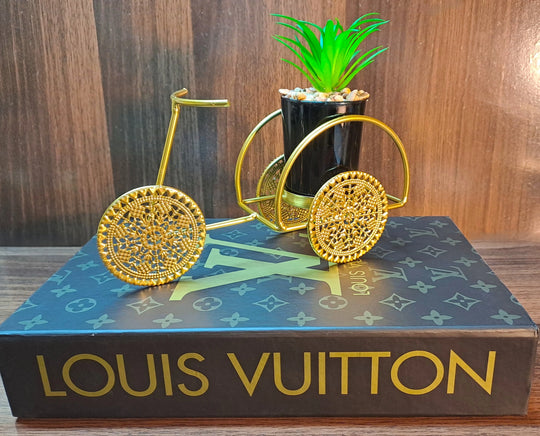 Cactus with Planter over Metallic Tricycle