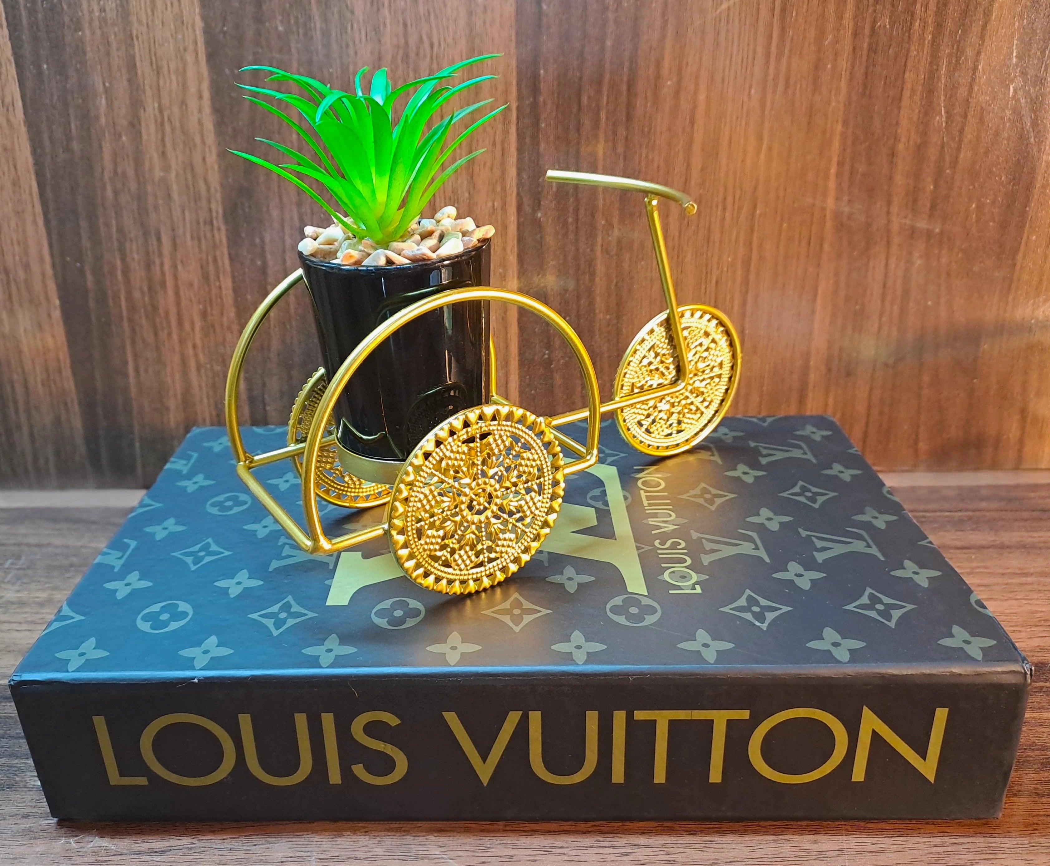 Cactus with Planter over Metallic Tricycle