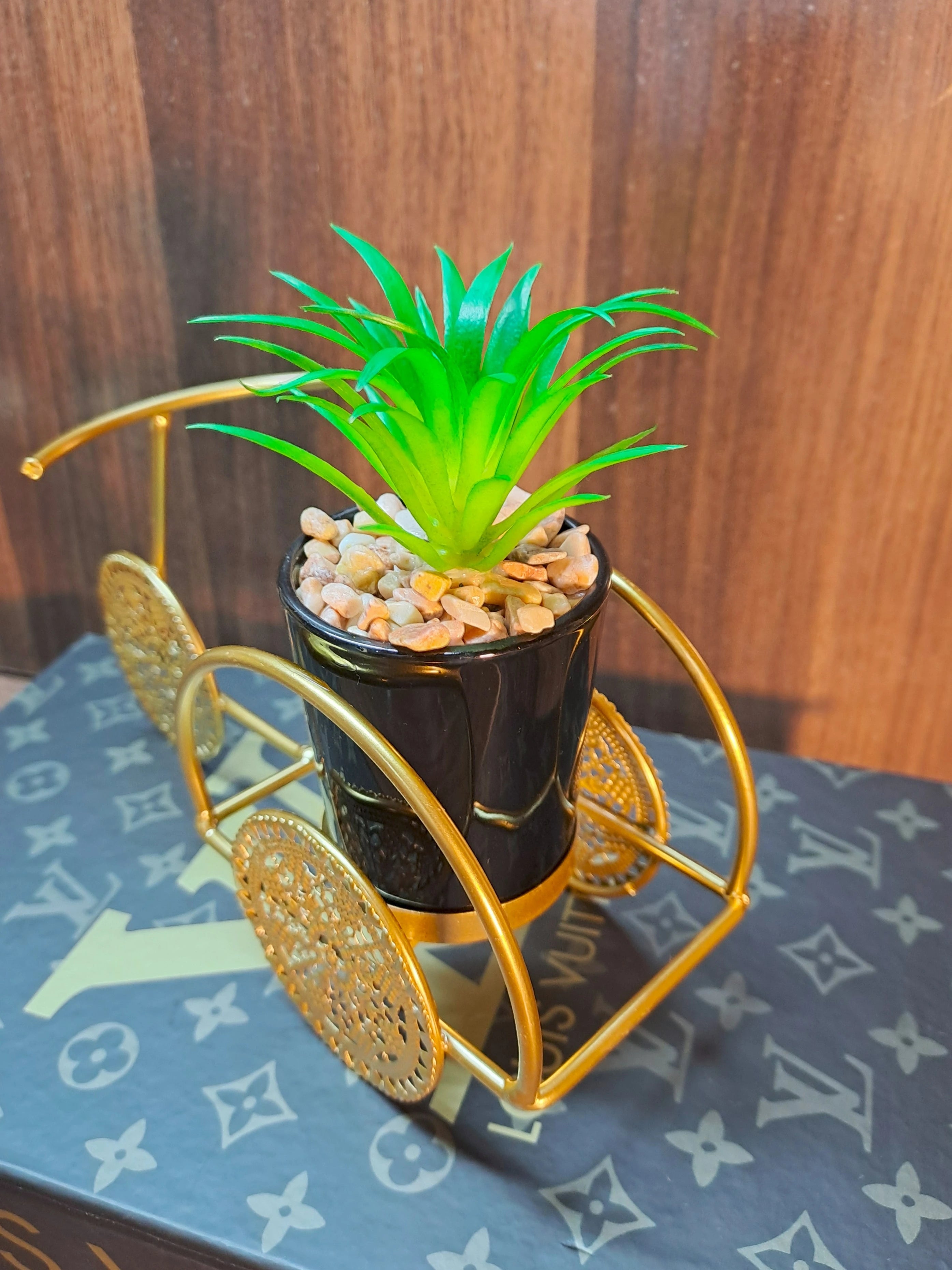 Cactus with Planter over Metallic Tricycle
