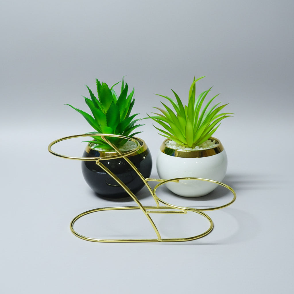 Black & White Ceramic Pots with artificial Cactus Plants on Golden Metallic Stand