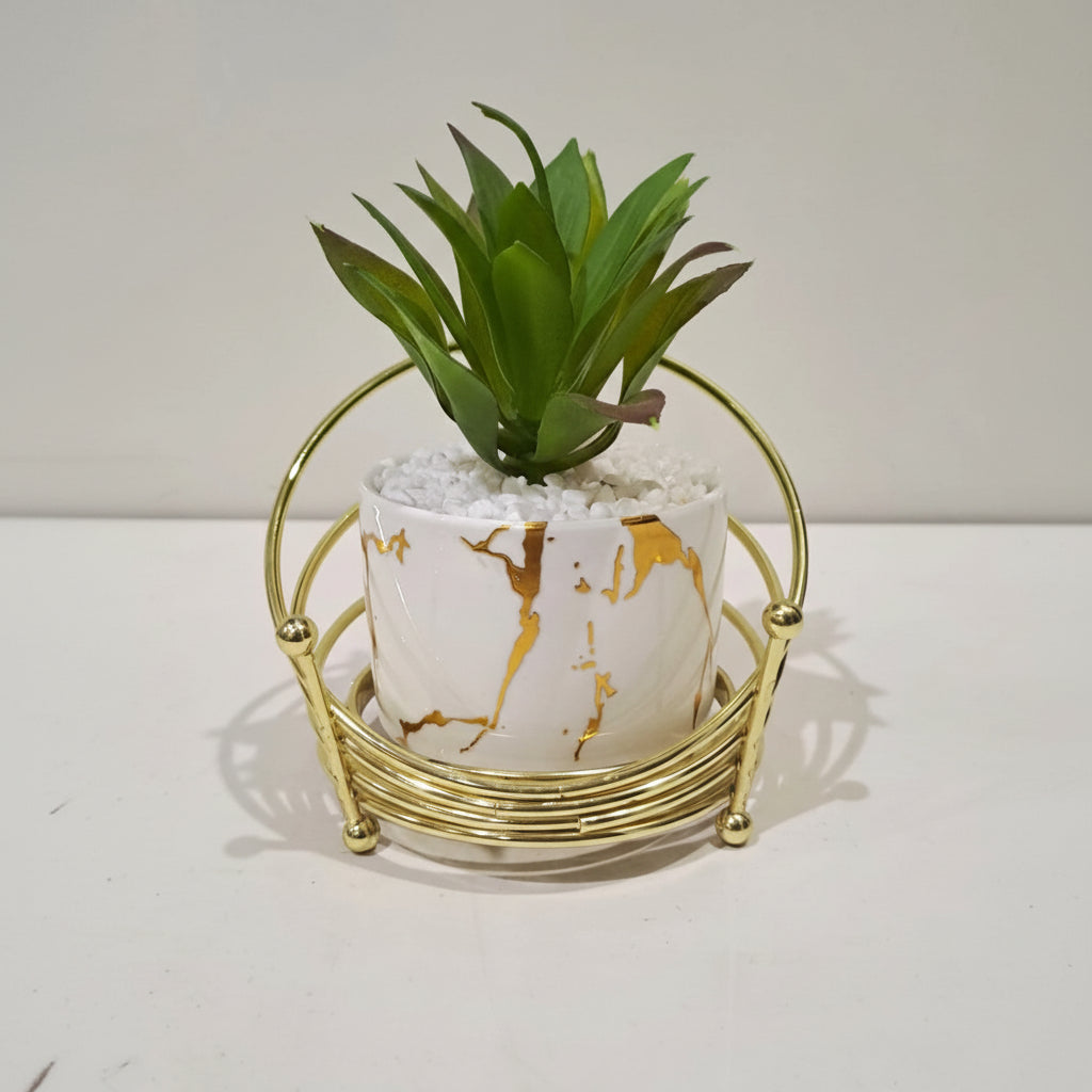 White Ceramic Pot with Cactus Plant on an oval shaped Golden Metallic Stand