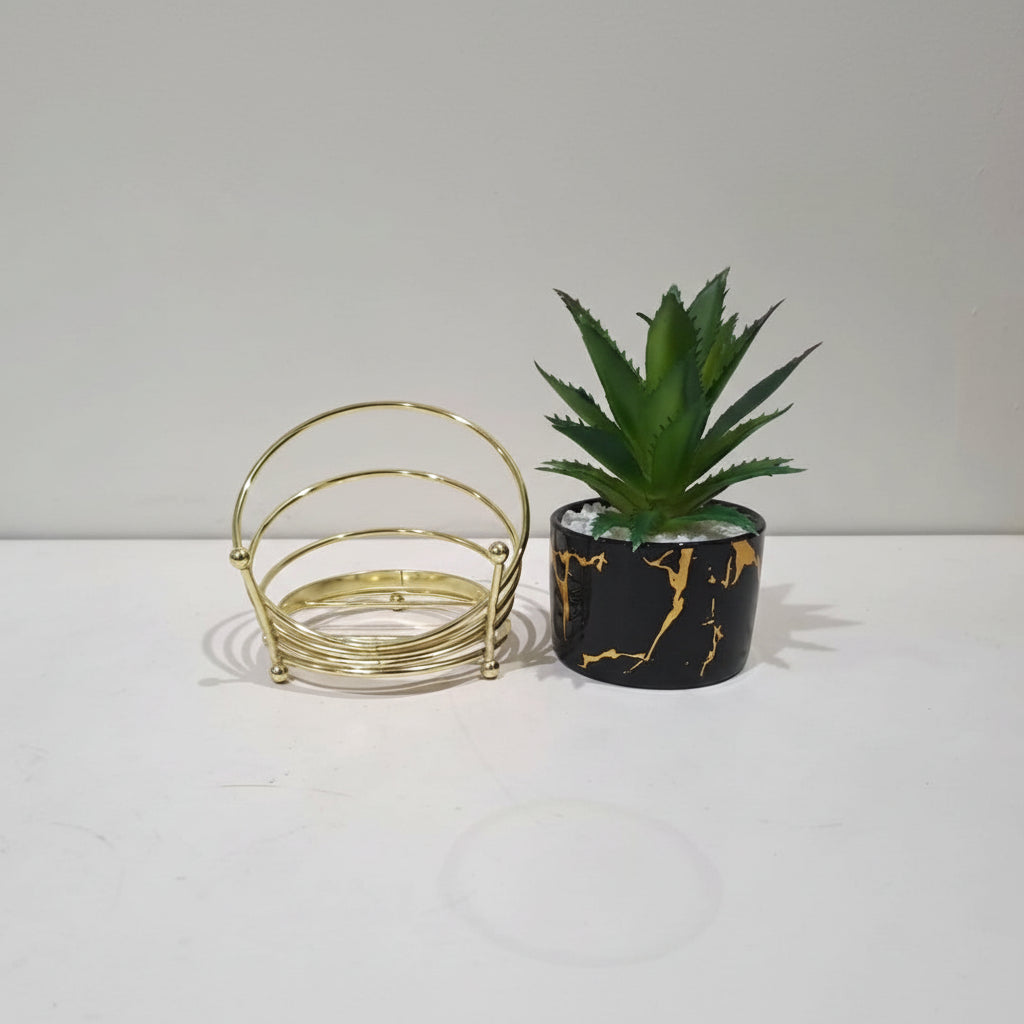 Black Ceramic Pot with Cactus Plant on an oval shaped Golden Metallic Stand