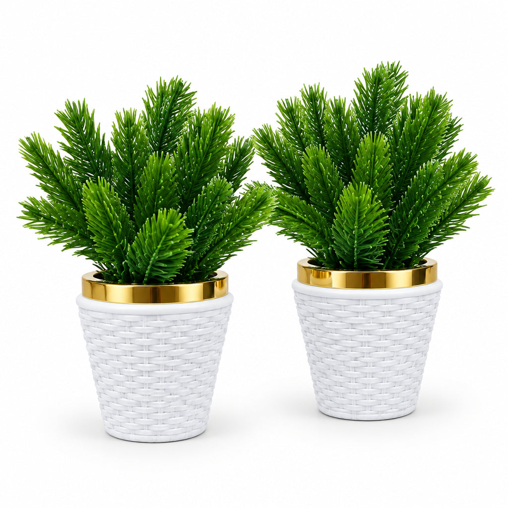 Pack of 2 White Cone shaped Textured Plastic Pot with Artificial Green Pine Plant