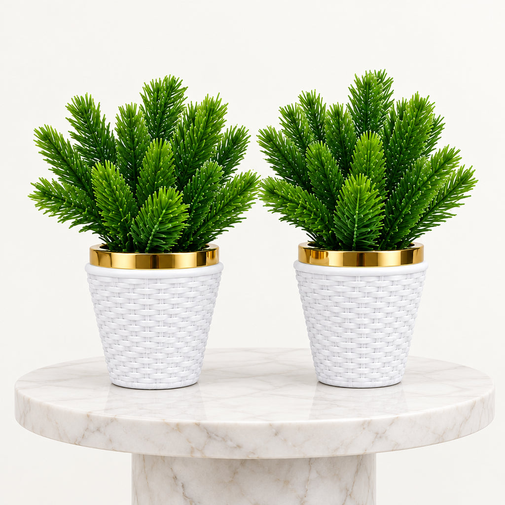 Pack of 2 White Cone shaped Textured Plastic Pot with Artificial Green Pine Plant