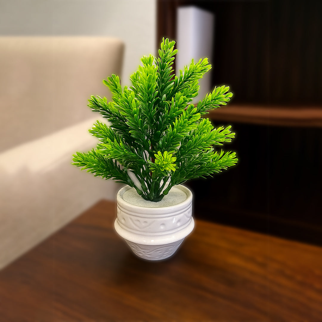White Ceramic Pot with Classic Green Plant