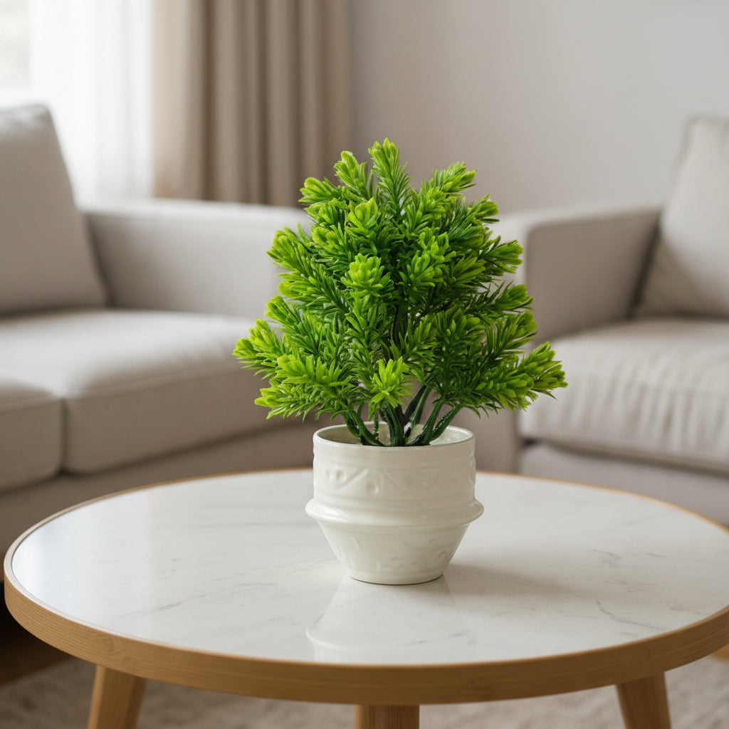 White Ceramic Pot with Classic Green Plant
