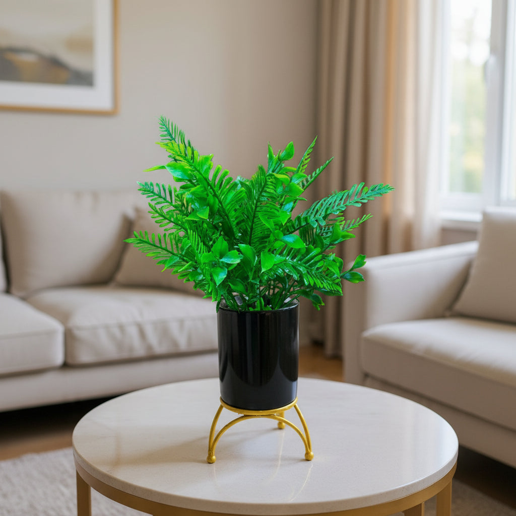 Black Ceramic Pot with Classic Green Plant on Golden Metallic Stand