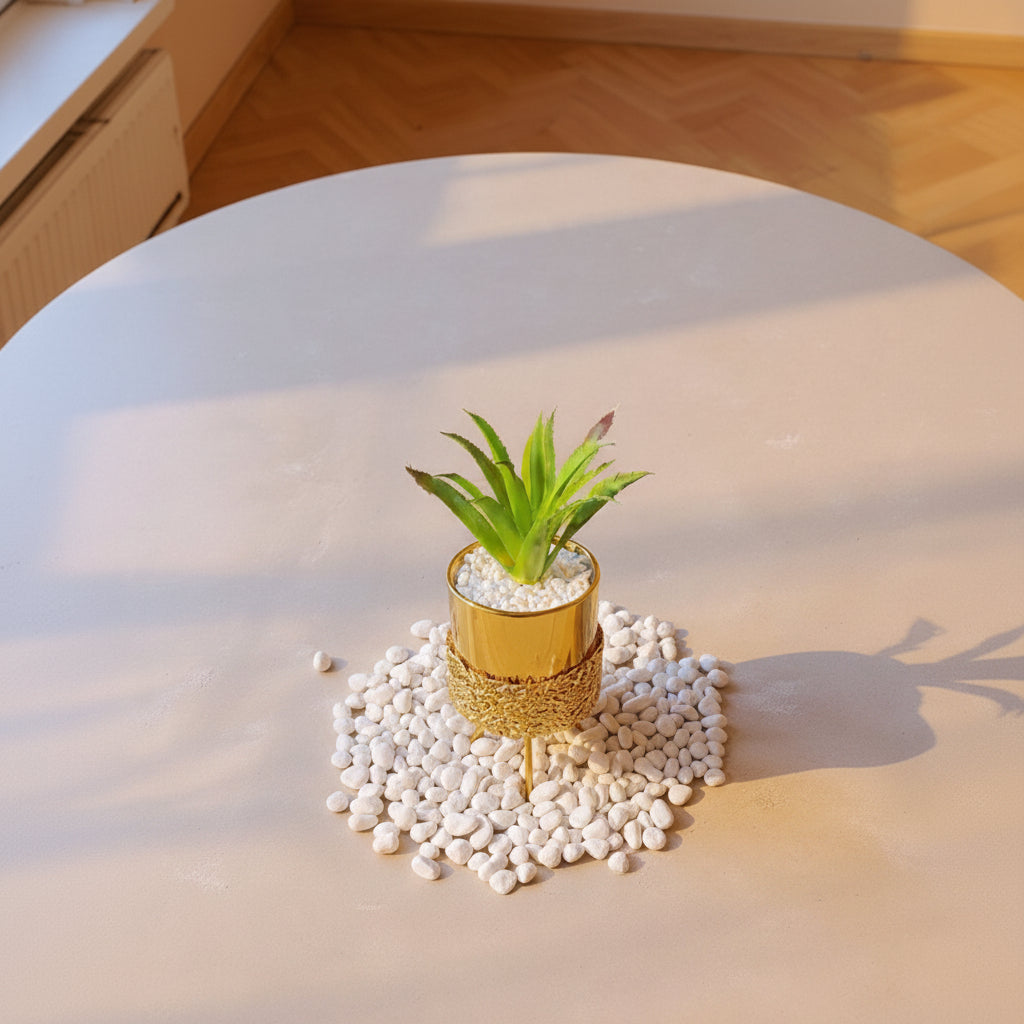 Ceramic Pot with Cactus Plant on a Tripod Stand