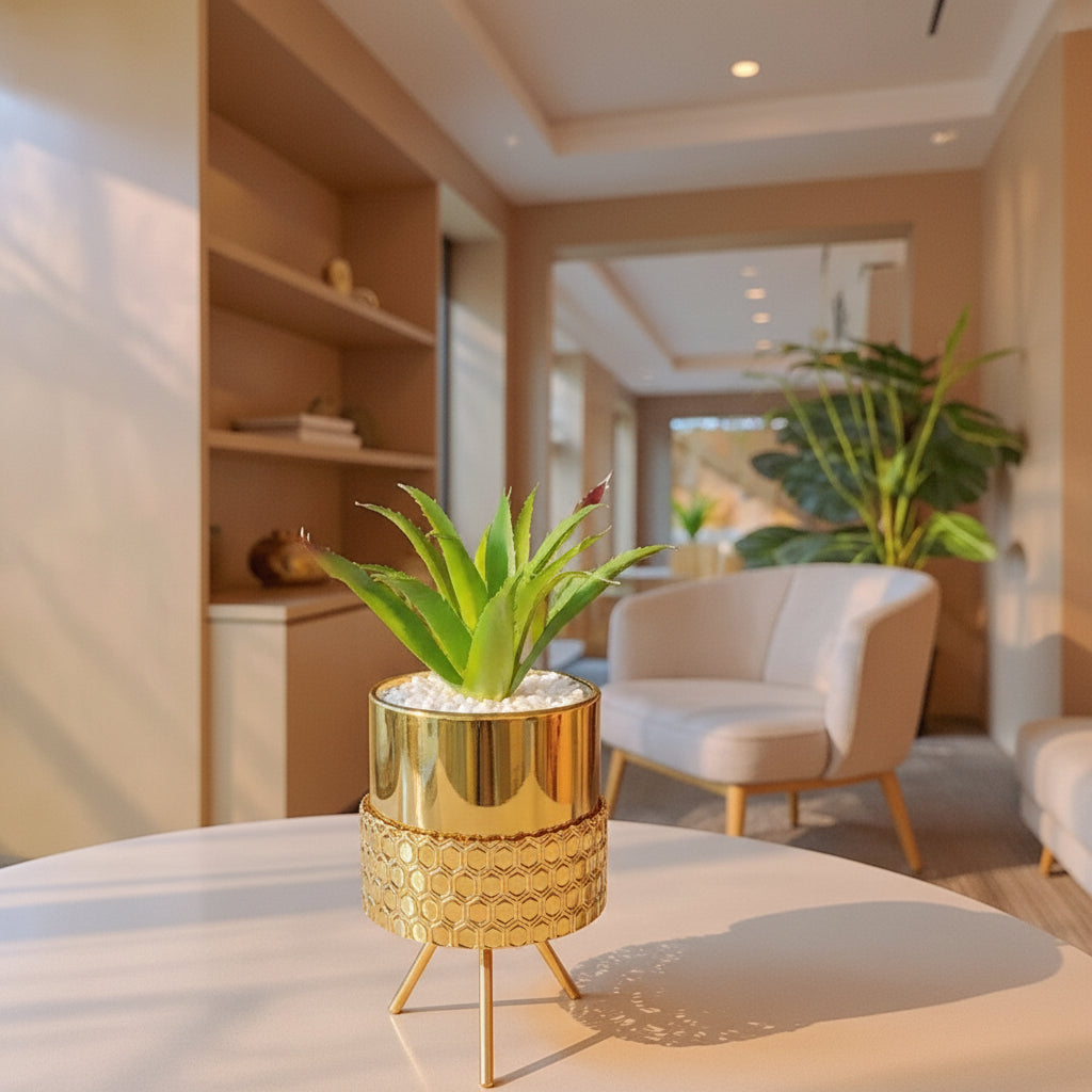 Ceramic Pot with Cactus Plant on a Tripod Stand