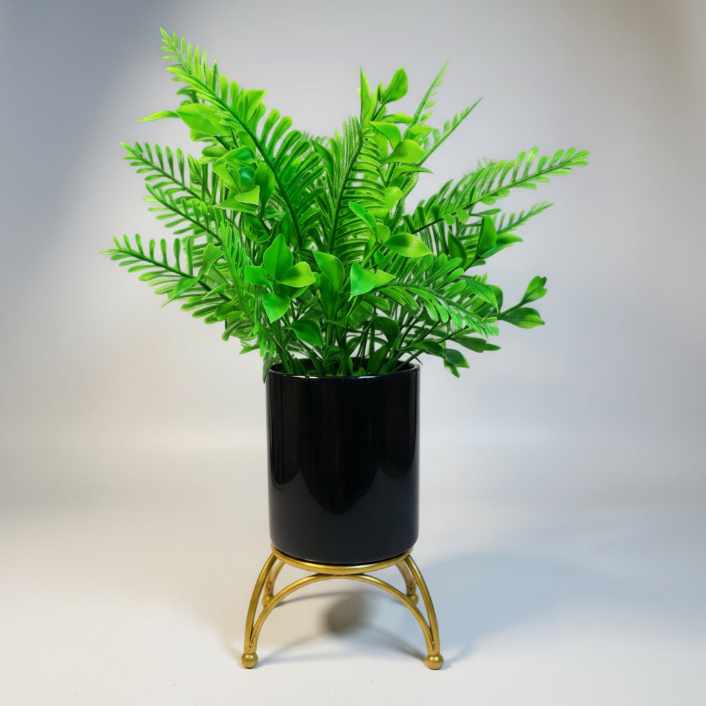 Black Ceramic Pot with Classic Green Plant on Golden Metallic Stand