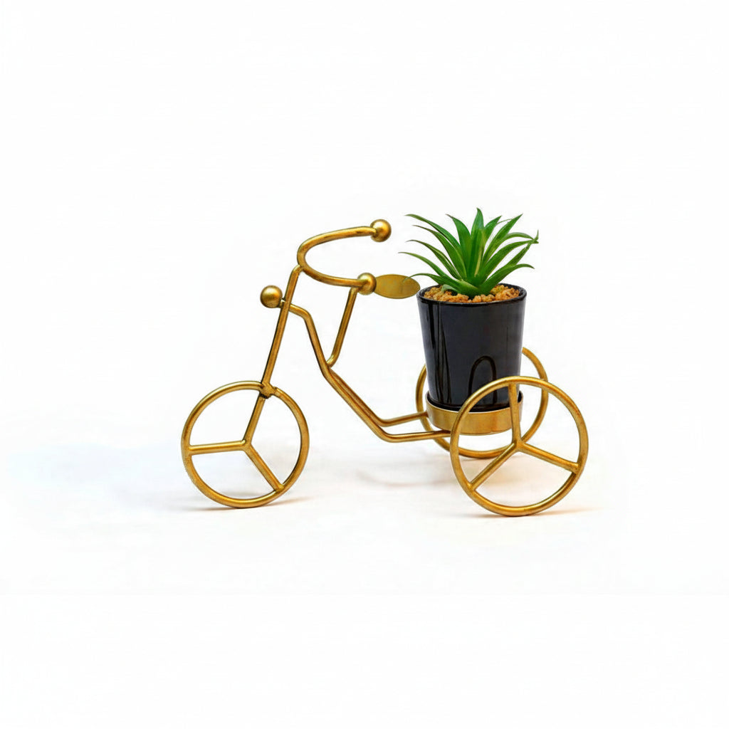 Cactus with Planter over Metallic Tricycle